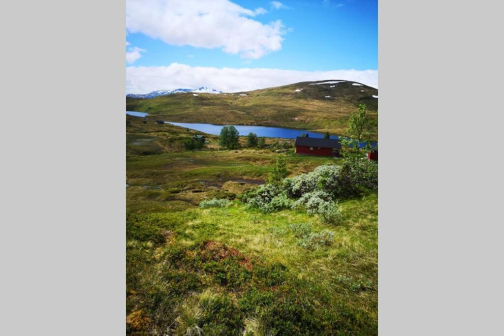 Casa Kleiv I Sogndalsdalen 빌라 외부 사진